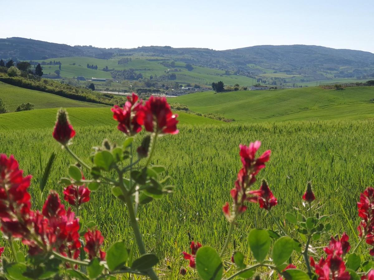 Il Giogo Agriturismo Rosignano Marittimo Dış mekan fotoğraf