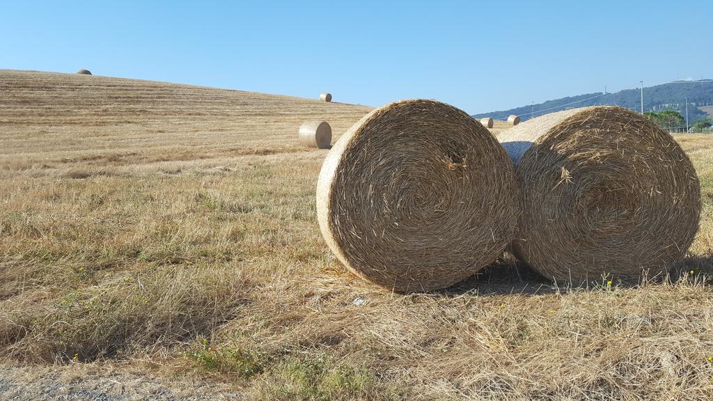 Il Giogo Agriturismo Rosignano Marittimo Dış mekan fotoğraf